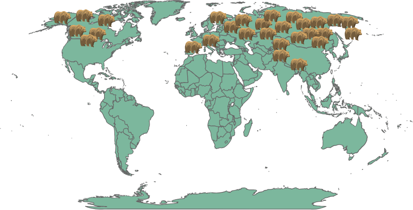The world map with brown bears. All brown bears are in the top of the map, in the norther hemisphere. Brown bears are from North America and Canada, on the left, to Russia on the right.